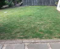 artificial turf front lawn before