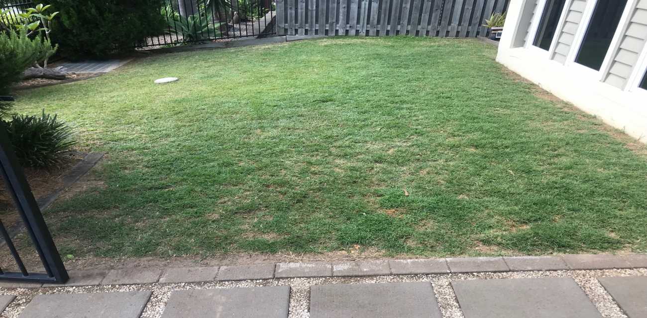 artificial turf front lawn before