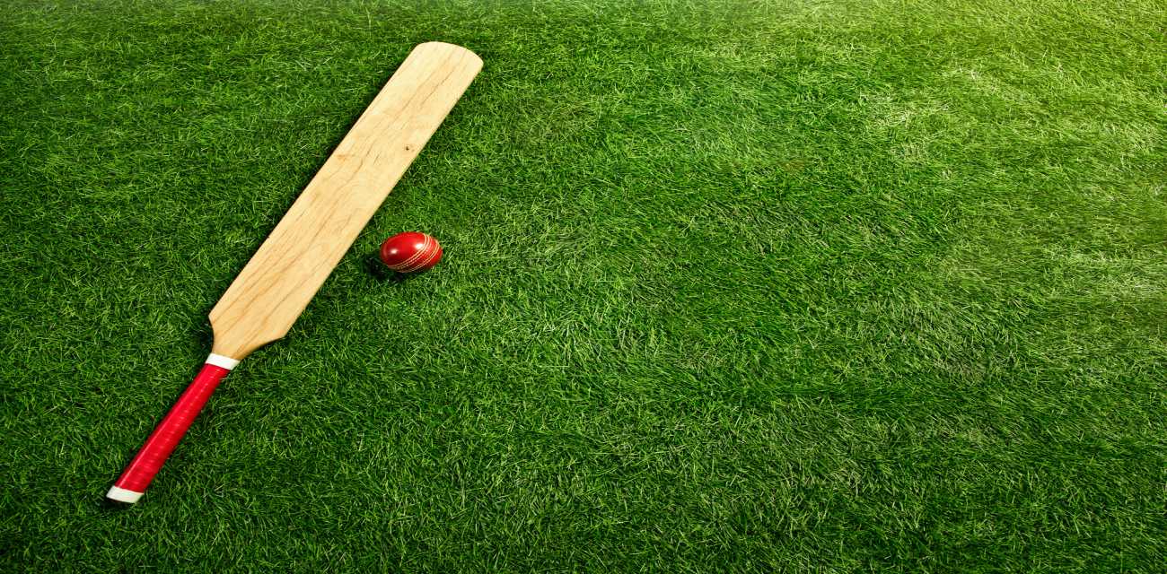 Coastal Turf Premium Artificial Lawn Luxe Turf