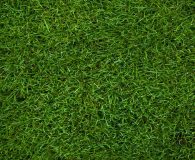 LeisureTurf 20 Will perform year after year and easy to maintain