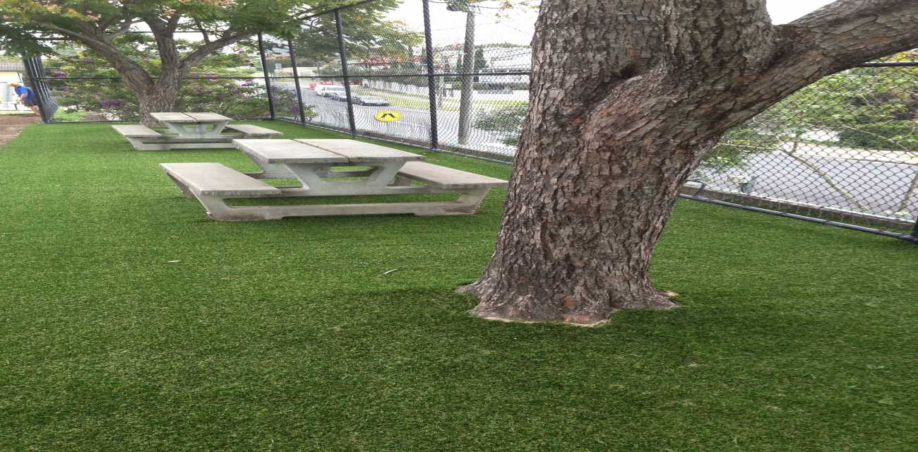 artificial lawn public area
