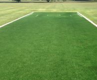 luxe turf cricket pitch