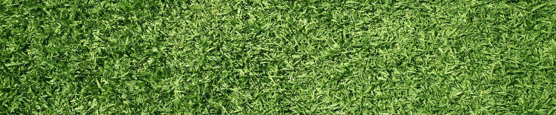 artificial grass for schools